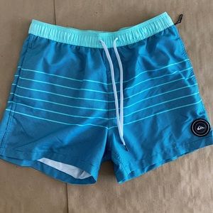 Quiksilver Volley Boardshorts
